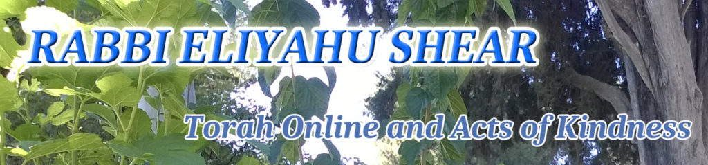 Rabbi Eliyahu Shear Torah Online and Acts of Kindness Banner