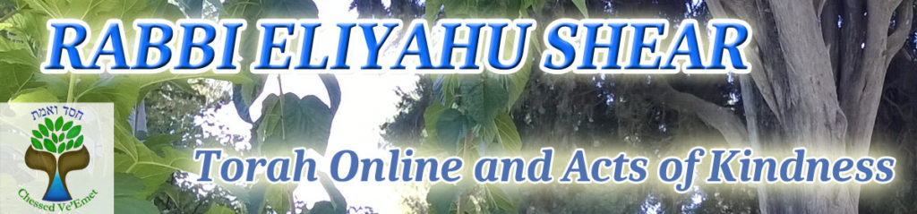 Rabbi Eliyahu Shear Learn Torah Online and Acts of Kindness